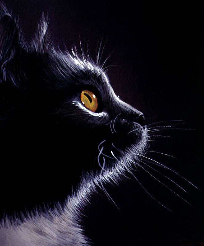 Colored Pencils on Black Paper 4: BLACK CAT PORTRAIT